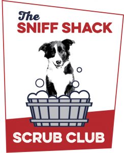 Doggy Spa Services Denver